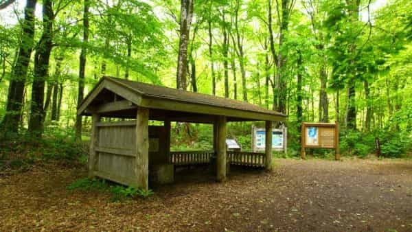 青森県と秋田県にまたがる世界遺産「白神山地」の十二湖散策コースをご紹介！