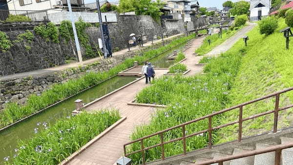 【熊本・玉名市】花しょうぶまつりと高瀬裏川界隈を散策して初夏を満喫してきたよ。