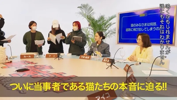 5年目「全国交通にゃん全運動」は猫に直接聞いてみた　なぜ交通事故に遭うの？