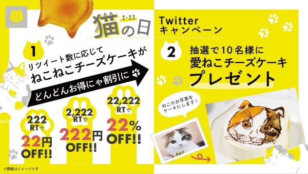 【1年に1度の2/22猫の日限定企画】愛ねこチーズケーキが当たるTwitterキャンペーン 結果次第で割引率が変わるお得なセールを開催！毎日引けるアプリくじなどねこづくしの限定企画を実施