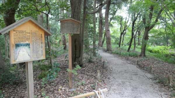 【京都】人の縁を結ぶ下鴨神社！見どころ・ご利益・お守りなどを徹底取材