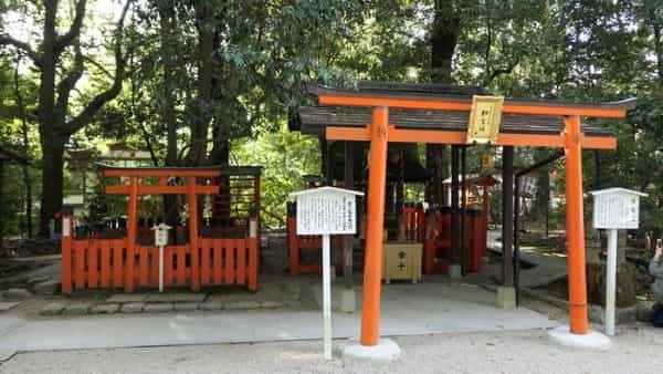 【京都】人の縁を結ぶ下鴨神社！見どころ・ご利益・お守りなどを徹底取材