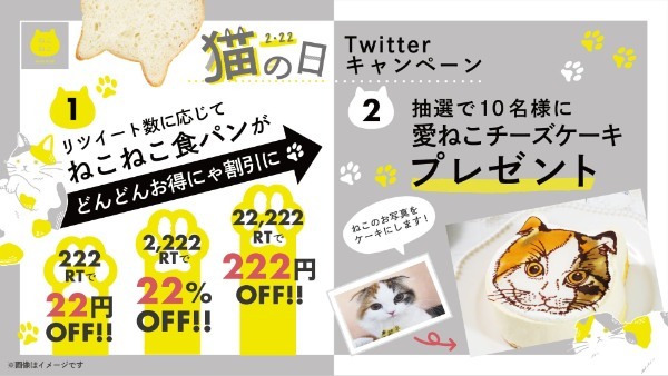 【1年に1度の2/22猫の日限定企画】愛ねこチーズケーキが当たるTwitterキャンペーン 結果次第で割引率が変わるお得なセールを開催！毎日引けるアプリくじなどねこづくしの限定企画を実施