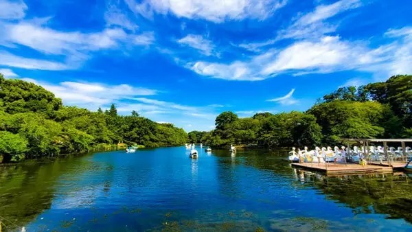 関東エリアに引っ越すならどこがいい？　人気の街トップ3