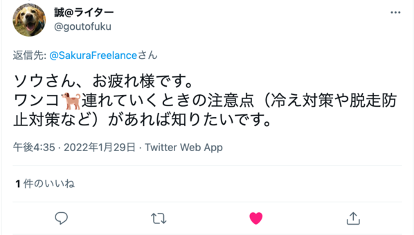 【読者さんからの質問にお答え】キャンプに愛犬を連れて行くにはどうすればいい？準備や対策を解説！