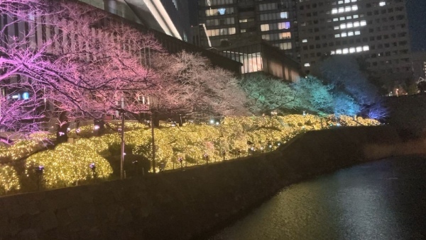 ＜千代田区・東京ガーデンテラス紀尾井町：春のイベント情報＞5種類・約3,000球のチューリップが紀尾井町に咲き乱れる！(*1)　KIOI SPRING 2023 『紀尾井・花の駅』が期間限定オープン！