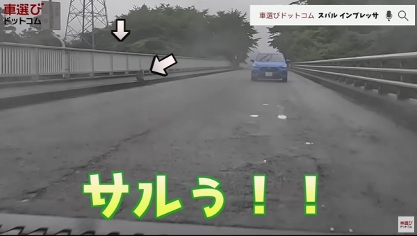 試乗中に大量の「サル」出現?!【 スバル 新型インプレッサ 】土屋圭市もびっくり！沢すみれ 工藤貴宏が徹底解説