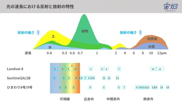 9種類、10の衛星画像で見る、フンガ・トンガ-フンガ・ハアパイ火山噴火の爪痕