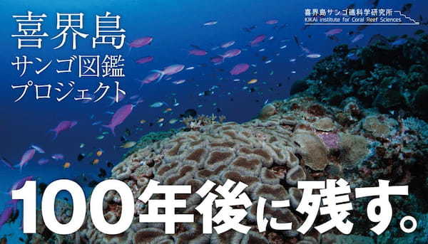 100年後に残す。喜界島のサンゴの”今“を記録した『喜界島 海と陸の造礁サンゴ図鑑』