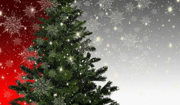 オランダ警察のクリスマスツリー廃棄に関する注意喚起がヤバすぎる・・・!