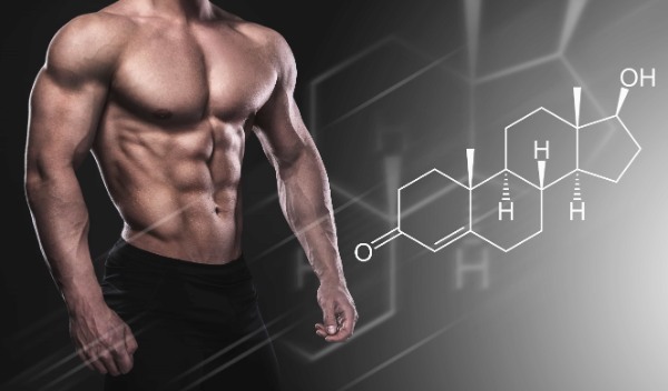 テストステロンの効果｜男らしさを上げるホルモン。筋肉増強との関係性を解説