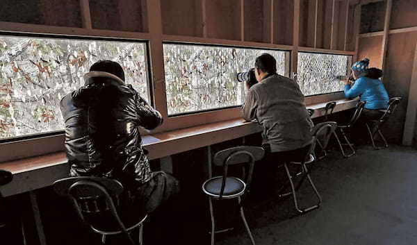 北海道で出会える「雪の妖精」シマエナガ