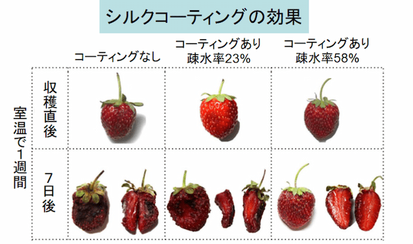 賞味期限が2倍になる!?　”絹のコーティング”が食品を長持ちさせると判明