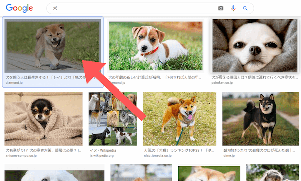 Google（グーグル）画像検索を使いこなそう！スマホ・PCでの基本をご紹介！