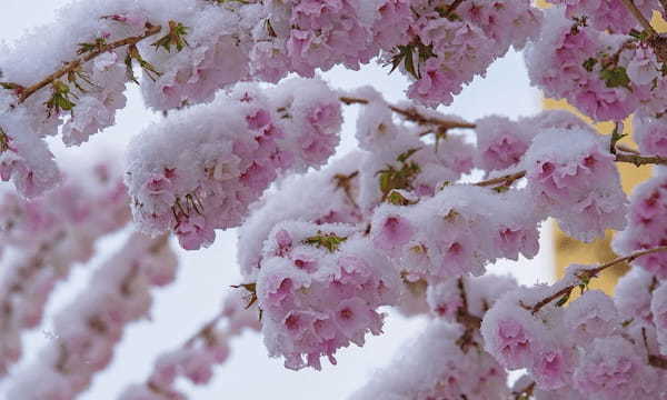 北海道だけで使われる言葉「リラ冷え」とは何のこと?その意味や語源を解説!