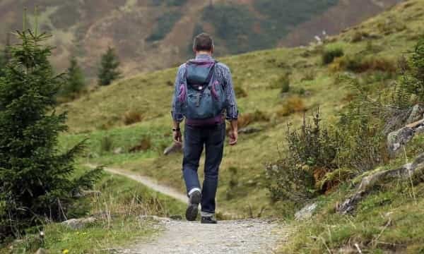 山林は売買できる！マイ山の買い方・売り方・注意点を初心者にもわかりやすく紹介