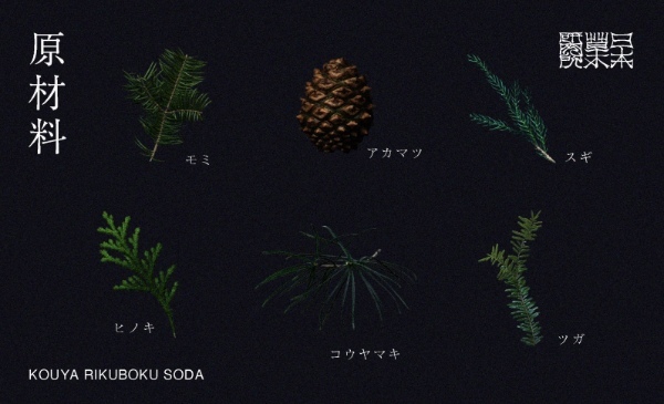 ＜日本初＞世界遺産「高野山」の伝説の６つの木「高野六木」を飲むソーダ。飲む森林浴で森を食用化。