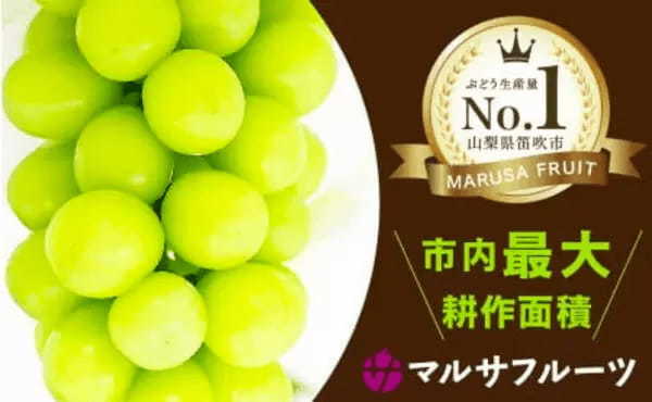 【2021年ふるさと納税】ぶどうランキング！還元率やコスパで比較