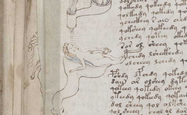 奇書「ヴォイニッチ手稿」は暗号化された中世の“女性の秘密”だった！？専門家が主張