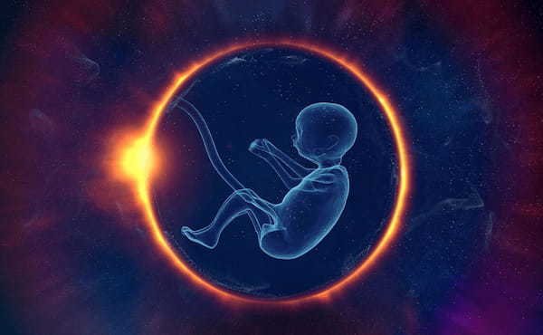 前世記憶を持つ7人の子供の事例を米大学精神科医が発表! 前世や輪廻は実在するのか?