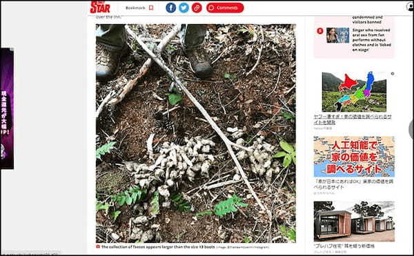 ビッグフットの糞が発見される? 真っ白で大量…=アメリカ