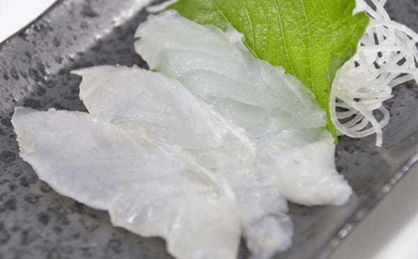 釣りモノとしても食材としても夏に旬を迎えるマゴチの生態