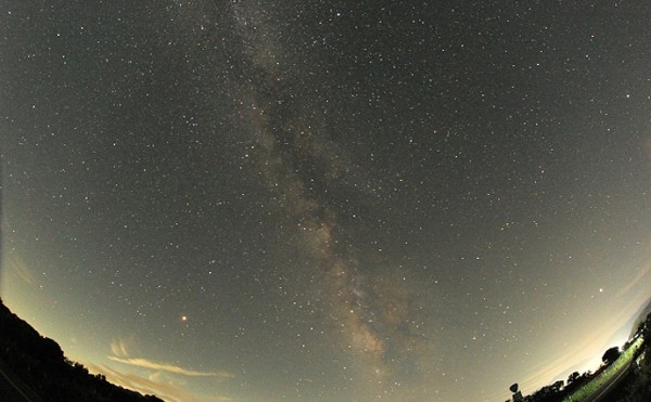 「星」が付いているサカナたち　季節限定の『追星』は繁殖と関係あり