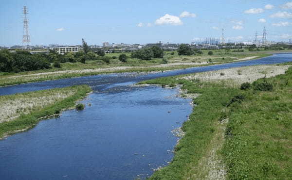 度々起こる魚の『夏の大量死』の原因は？　有害物質の検出はナシ