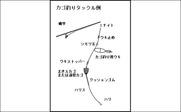 カゴ釣り徹底入門　【仕掛け・タナの取り方・魚種別の釣り方を解説】