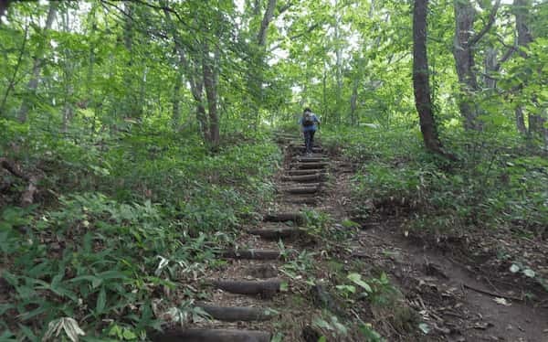 【おとうさんのよも山ばなし】秋山登山！有珠山の絶景