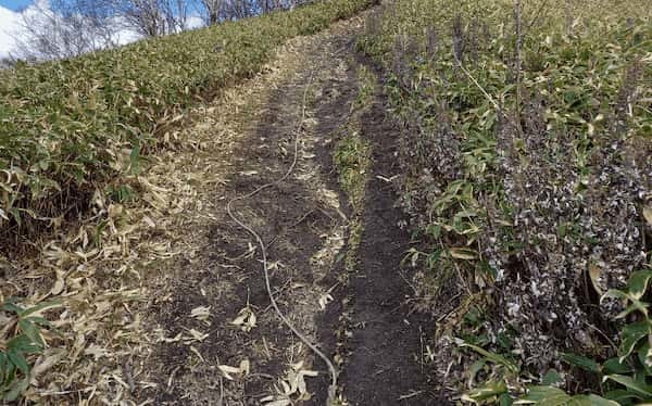 いま改めて感じる登山の魅力「おとうさんのよも山ばなし」