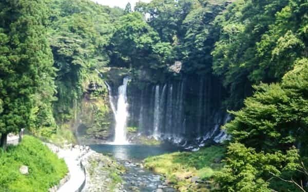 【東海版】ペット飼育者に人気のおでかけスポット一覧！愛知県・岐阜県・三重県・静岡県