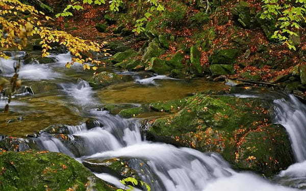 栃木県の川遊びスポットおすすめ3選！とにかく水が綺麗で子ども連れに最適！