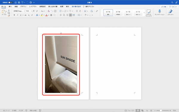Wordへの画像・写真の挿入方法|自由に移動・枠・挿入できないときの対処法なども解説
