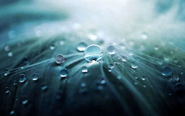梅雨の期間をあらわす5つの言葉。その間の3つの天候をあらわす言葉を解説!