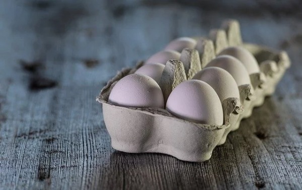 卵に含まれる鉄分はどのくらい？たっぷりの栄養素で体を内側から健康に！