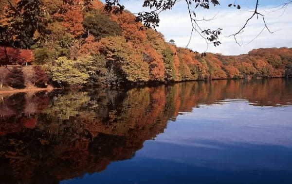 静岡・伊東市にある「一碧湖＆丸山公園」の紅葉は12月上旬が見ごろに