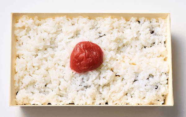 【阪神梅田本店】「のっけ盛り弁当 甲子園」開幕！人気ナンバー１を決める投票も！