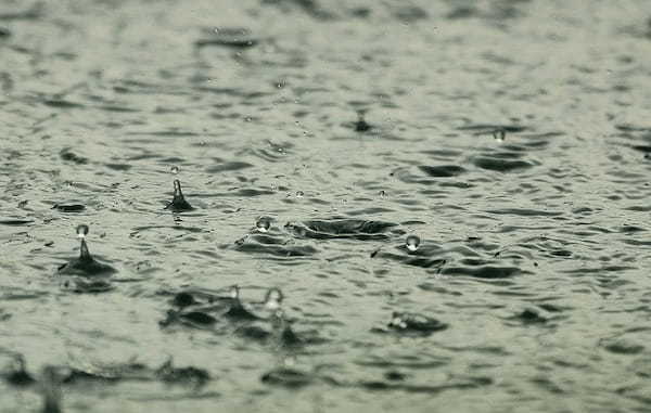 雨のバス釣りは本当に釣れる？釣り方のコツや季節ごとの雨の影響も解説！