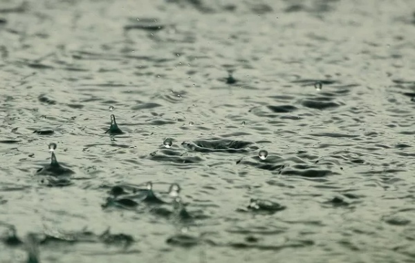 雨の日の釣りに最適な服装特集！必要な装備の選び方や快適に釣るための注意点も解説