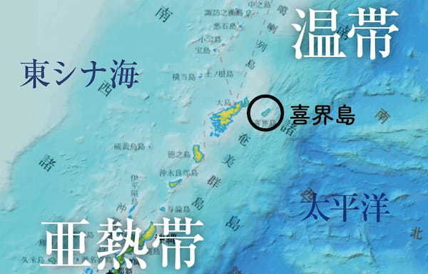 100年後に残す。喜界島のサンゴの”今“を記録した『喜界島 海と陸の造礁サンゴ図鑑』