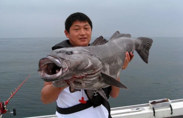 釣り初心者への入門ガイド！気になる初めての疑問を解消しよう