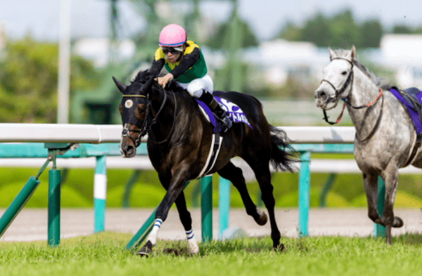 天皇賞（春）の極め穴馬を元JRAレジェンドが激推し！ 「自分が乗るならこの馬でタイトルホルダーを負かす」