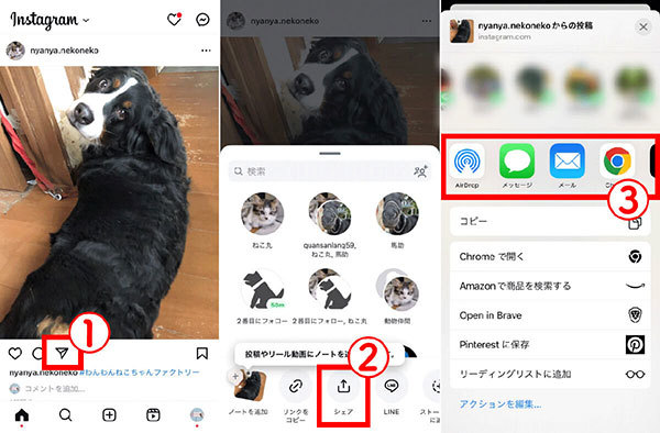 【徹底ガイド】Instagramの「共有（シェア）」はどのボタン？　操作方法/使い方