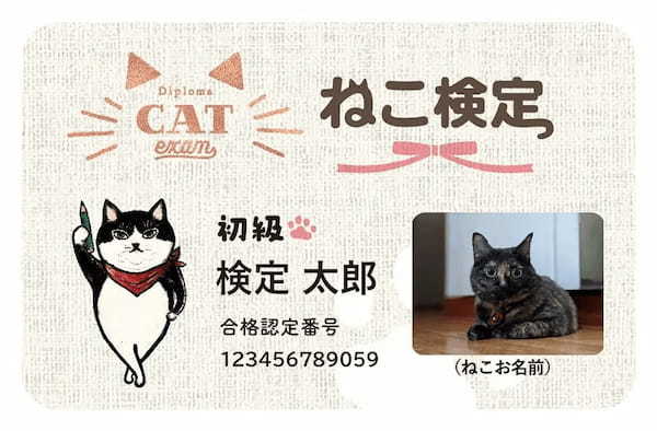 「ねこ検定」2025年3月全国一斉開催　8月8日「世界猫の日」より受付開始