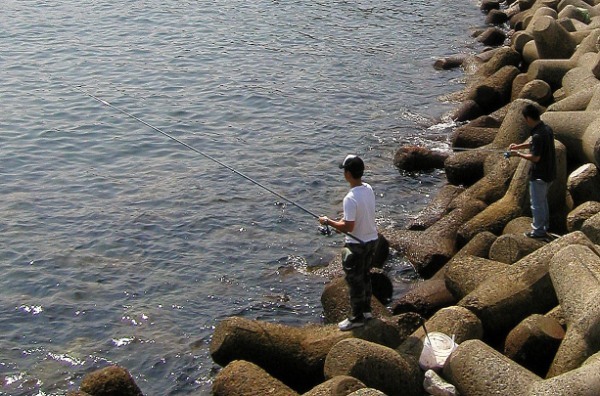 メジナ釣り【入門ガイド】仕掛け、ルアー、スポット、時期まで攻略しよう!