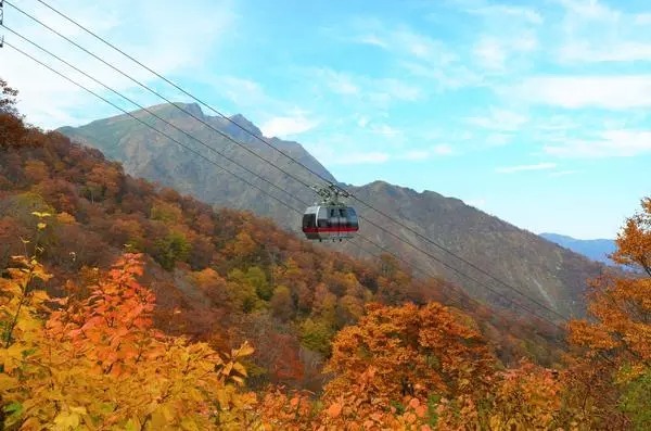 【谷川岳ガイド2022】紅葉の見ごろ情報をご紹介！ロープウェイからの景色◎