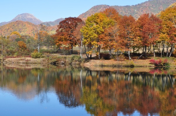 【2022年】紅葉の見頃はいつまで?穴場から定番までおすすめスポット24選