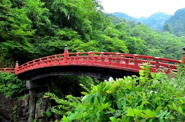 32,700平米(約1万坪)広大な大自然をベースにしたグランピングリゾート施設「brilliant-village Nikko」、日光市に2023年2月オープンへ