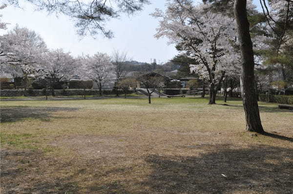 【全国】桜がきれいなキャンプ場特集。この時期ならではのお花見キャンプは格別！